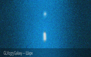 GLX1373 Galaxy - Шарк