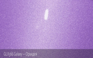 GLX366 Galaxy - Орхидея