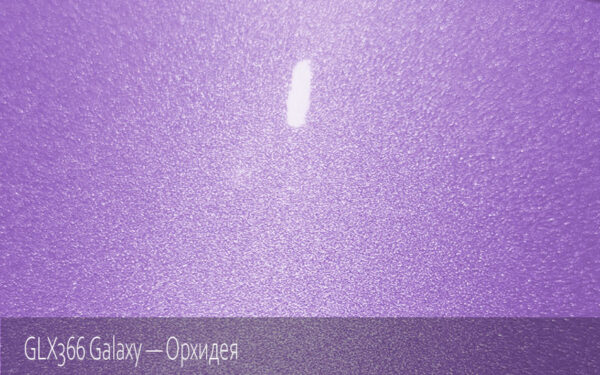 GLX366 Galaxy - Орхидея