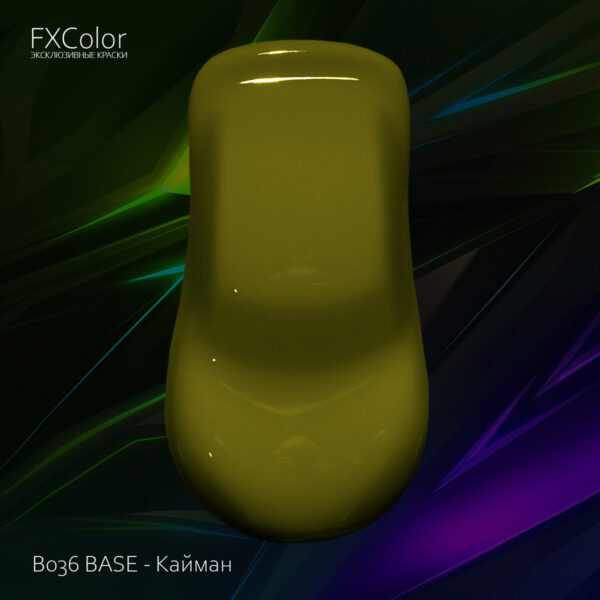 B036 BASE - Кайман