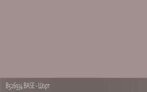 B526934 BASE - Шорт
