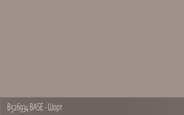 B526934 BASE - Шорт