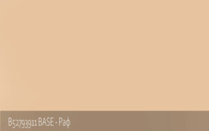 B52793911 BASE - Раф