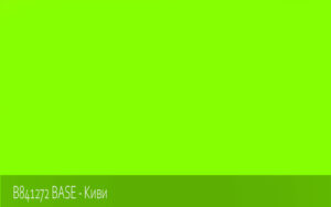 B841272 BASE - Киви