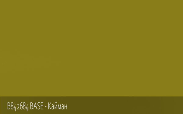 B842684 BASE - Кайман