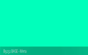 B9232 BASE - Мята