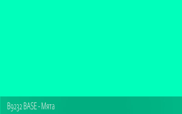 B9232 BASE - Мята